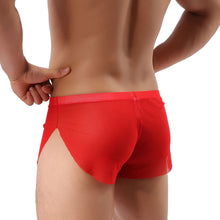 bikini underwear underwear pants style of underwear ELY