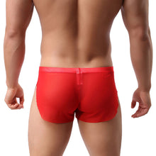 bikini underwear underwear pants style of underwear ELY