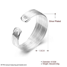 silver plated bangles Multi-line women pulseras Elegant SMTB 23 ELY
