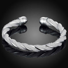 Best Gift silver charms bangle Twisted wire mesh women pulseras bijoux femme SMTB 2 ELY