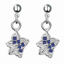 silver earrings Star crystal drop cufflinks prices in euros 245 ELY