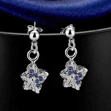 silver earrings Star crystal drop cufflinks prices in euros 245 ELY