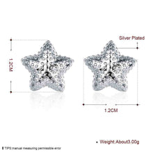 silver earings jewelry Frosted Star stud brincos Gift for her 32 ELY