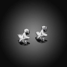 silver earings jewelry Frosted Star stud brincos Gift for her 32 ELY