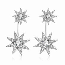 floating charms Platinum Plate Crystal earrings Crystal size drop oorbellen Personalized 337 ELY