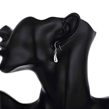 silver plated earing Waterdrop drop Earring silver plated Earrings 36 ELY